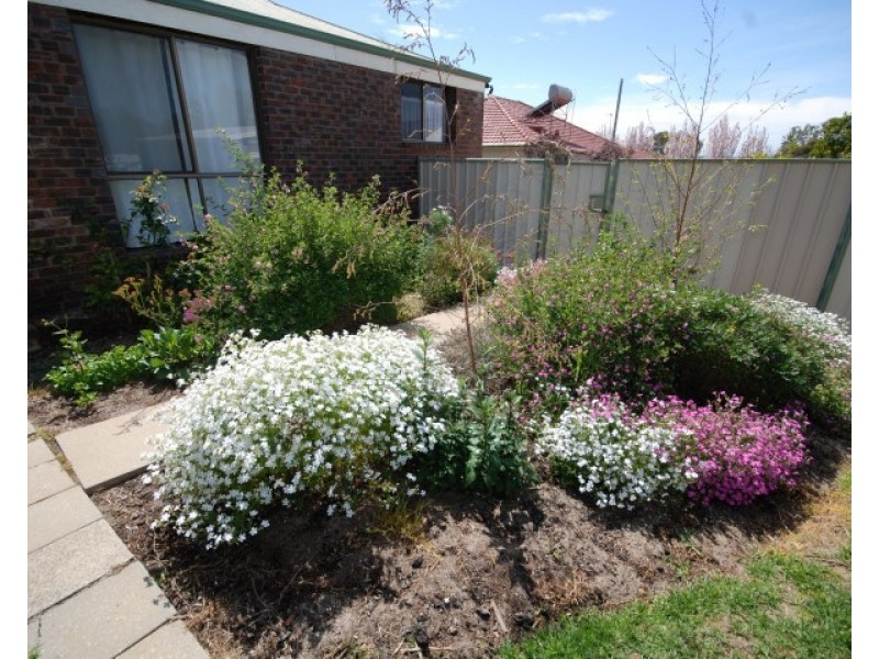 73 Williams Road, Narrogin WA 6312