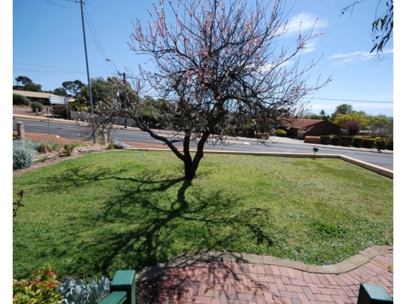 73 Williams Road, Narrogin WA 6312