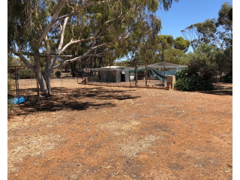 54 Johnston Street, Wagin WA 6315