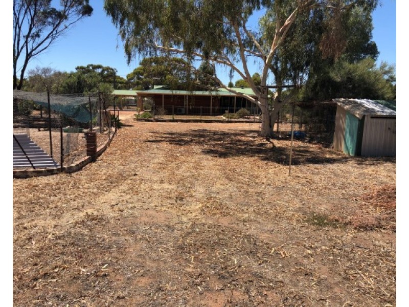 54 Johnston Street, Wagin WA 6315