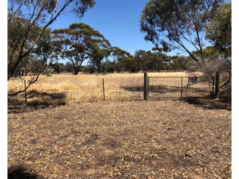 54 Johnston Street, Wagin WA 6315