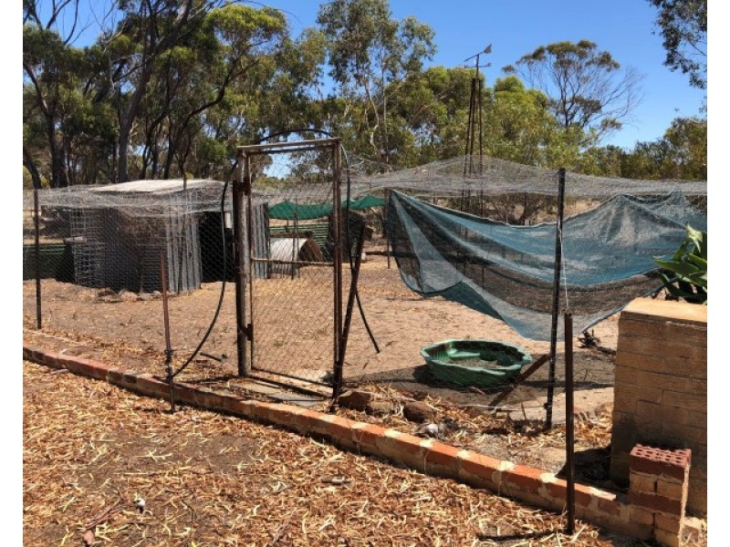 54 Johnston Street, Wagin WA 6315