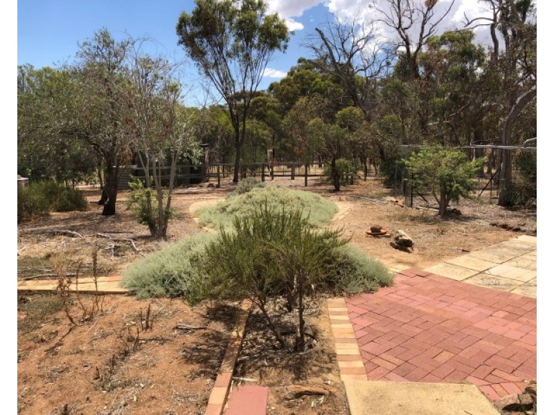 34 shaddick Road, East Pingelly WA 6308