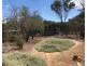 34 shaddick Road, East Pingelly WA 6308