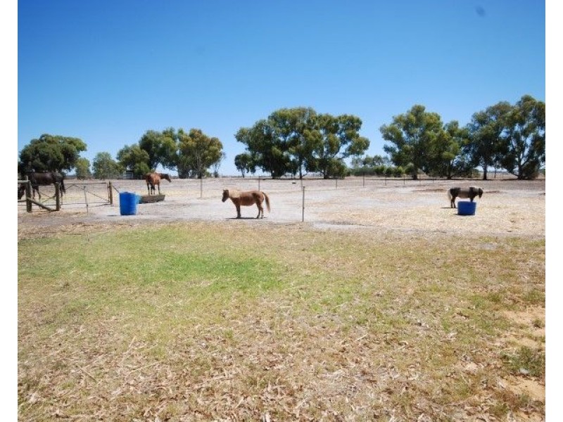 19 Pingelly Hts, Pingelly WA 6308