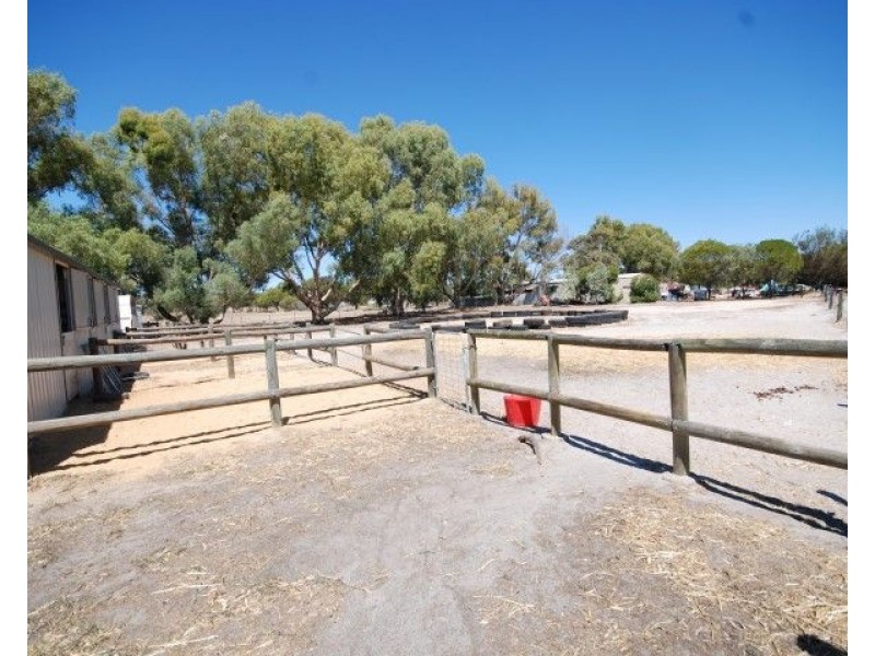 19 Pingelly Hts, Pingelly WA 6308