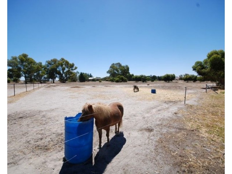 19 Pingelly Hts, Pingelly WA 6308