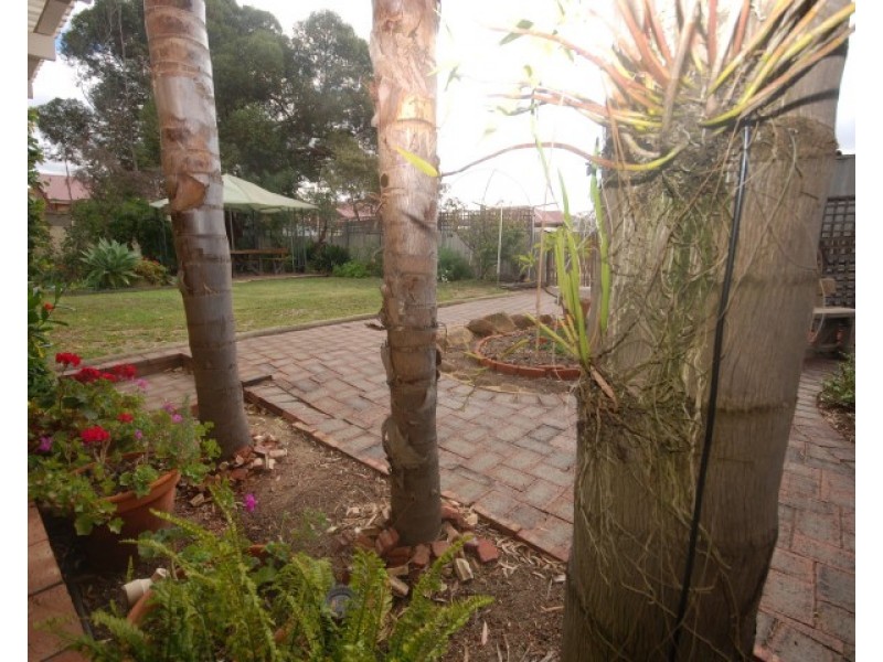 34 Felspar Street, Narrogin WA 6312