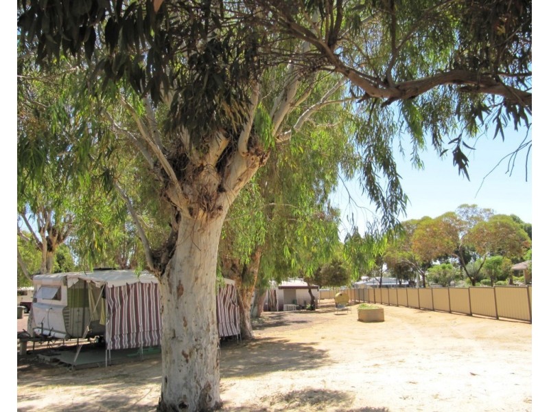 5 Kirkwood Street, Corrigin WA 6375