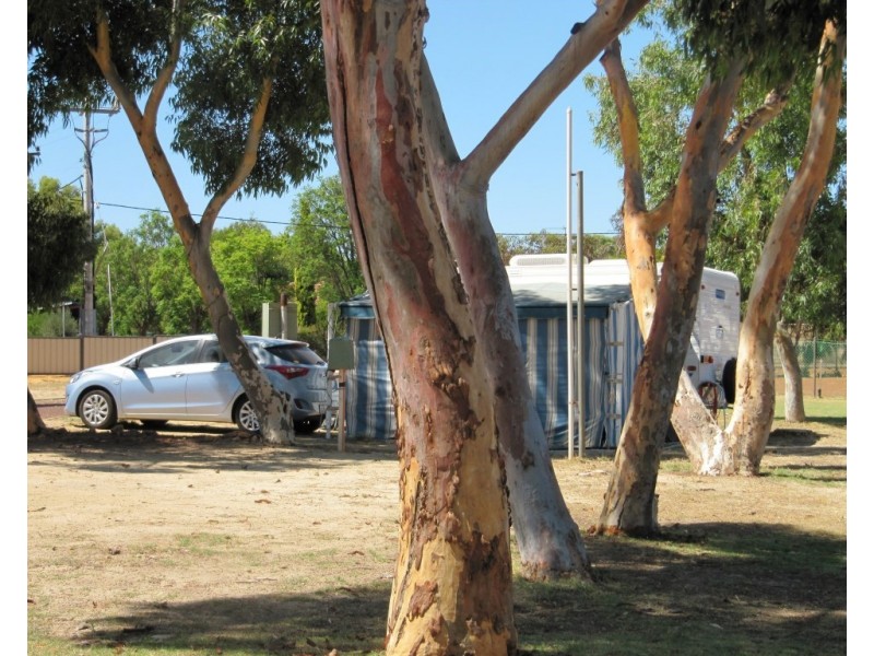 5 Kirkwood Street, Corrigin WA 6375