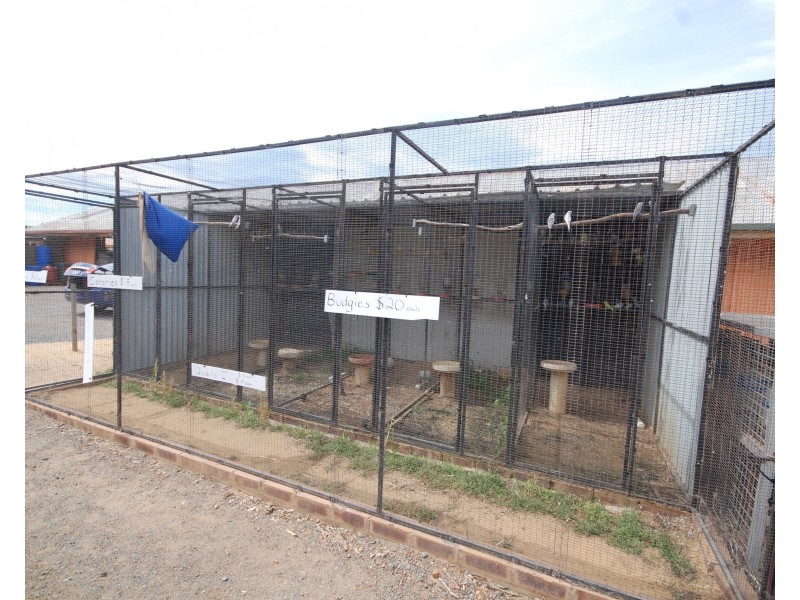 175 Federal Street, Narrogin WA 6312