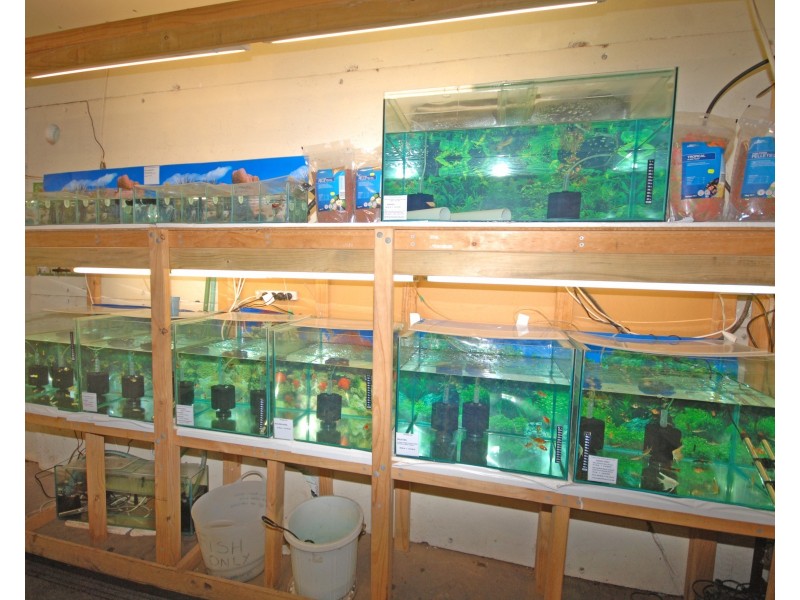 175 Federal Street, Narrogin WA 6312