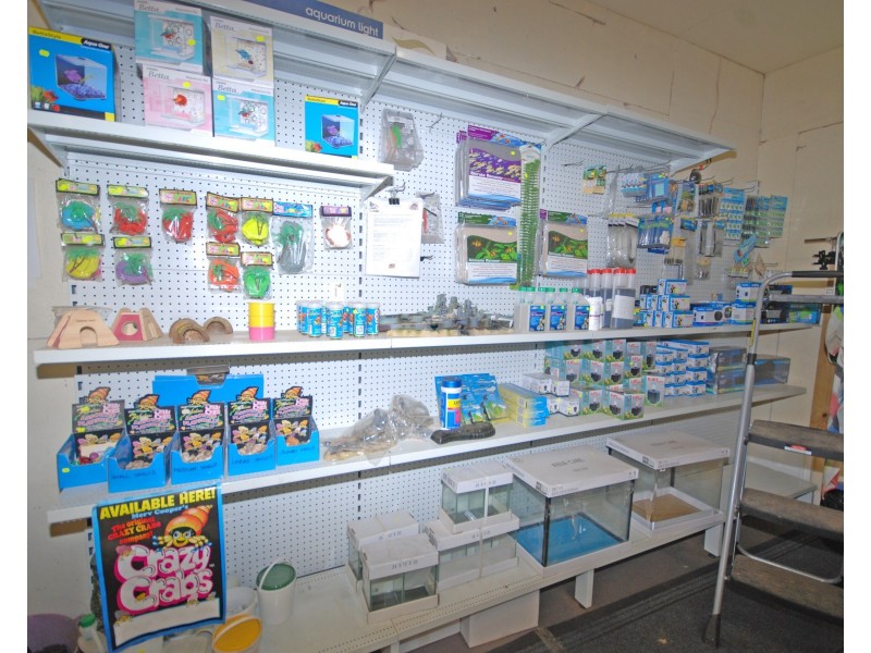 175 Federal Street, Narrogin WA 6312