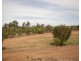 14423 Great Southern Highway, Popanyinning WA 6309