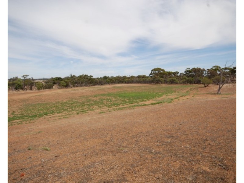 14423 Great Southern Highway, Popanyinning WA 6309