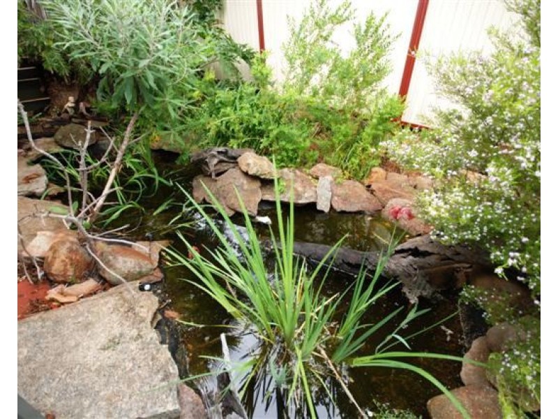 28 Grant Street, Narrogin WA 6312