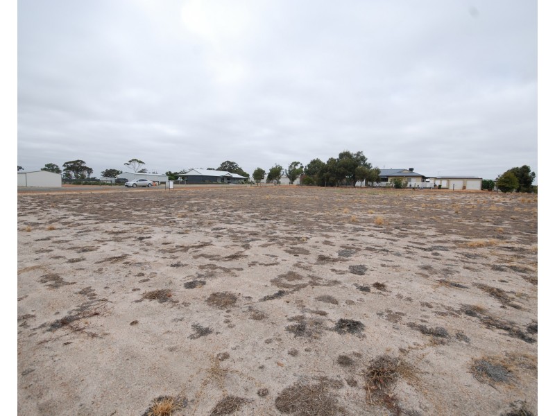 31 Curlew Way, Wickepin WA 6370