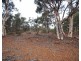 Lot 5567 York-Williams Road, Pumphreys Bridge WA 6308