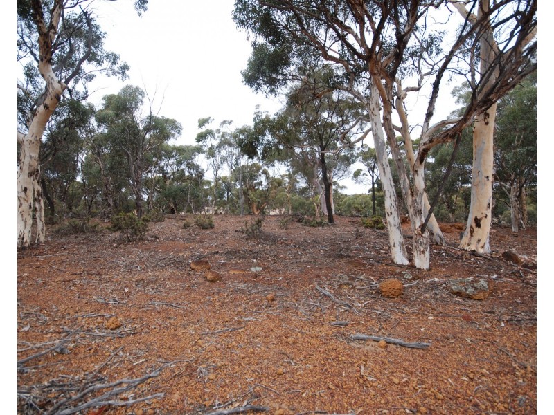 Lot 5567 York-Williams Road, Pumphreys Bridge WA 6308