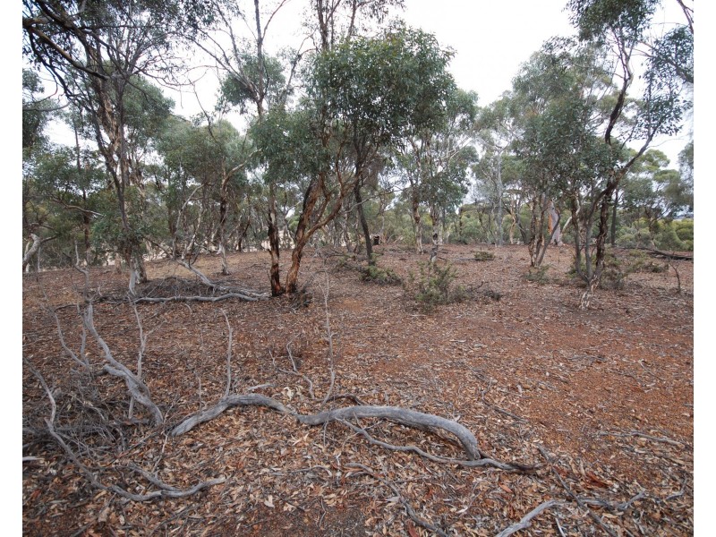 Lot 5567 York-Williams Road, Pumphreys Bridge WA 6308