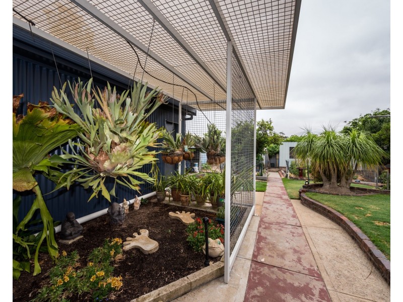 33 Fox Street, Narrogin WA 6312