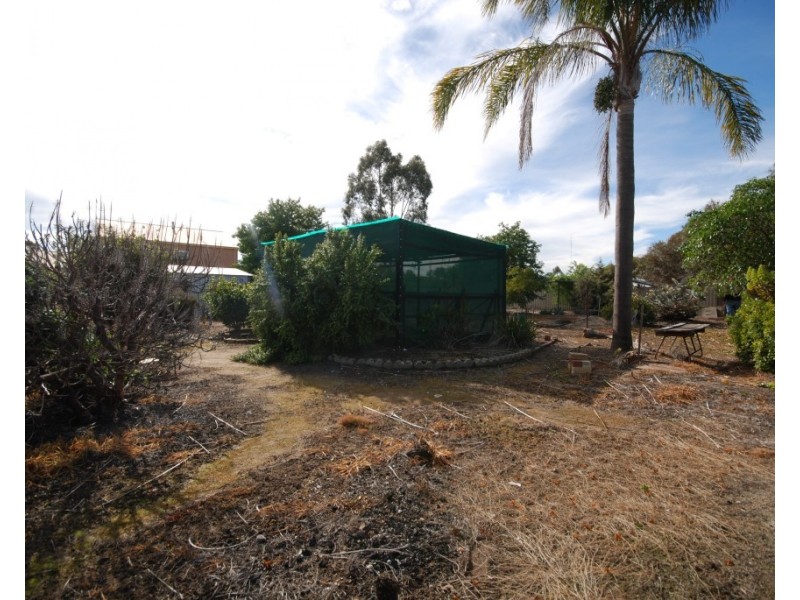 3 Parker Street, Pingelly WA 6308