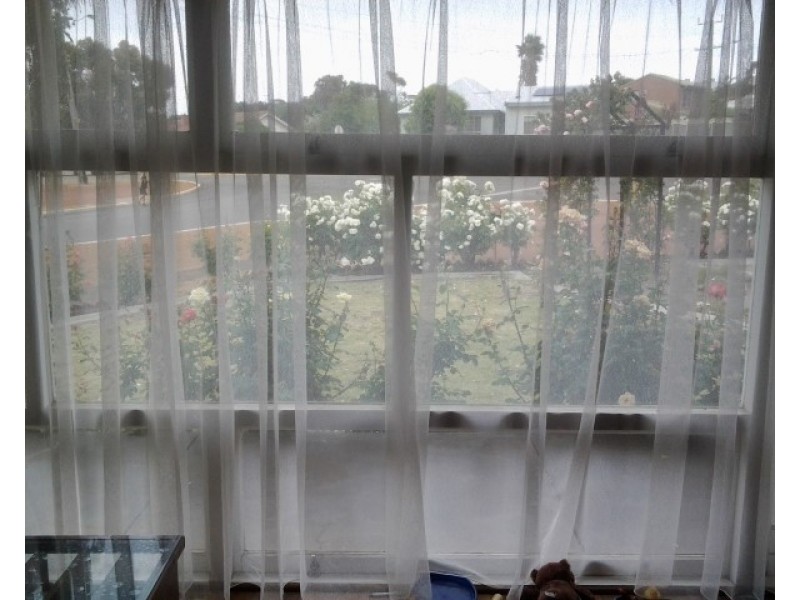 40 Homer Street, Narrogin WA 6312