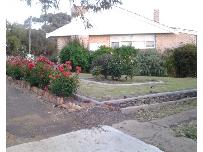 40 Homer Street, Narrogin WA 6312