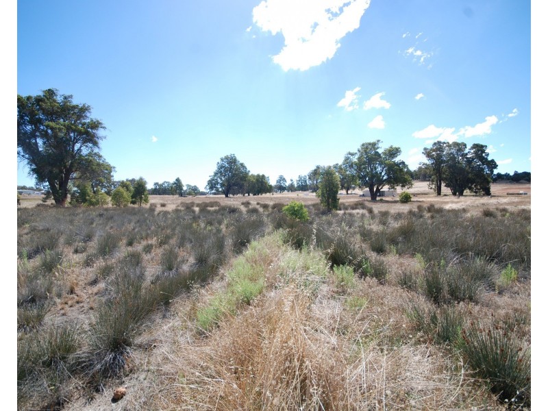 11 Mellows Road, Wandering WA 6308