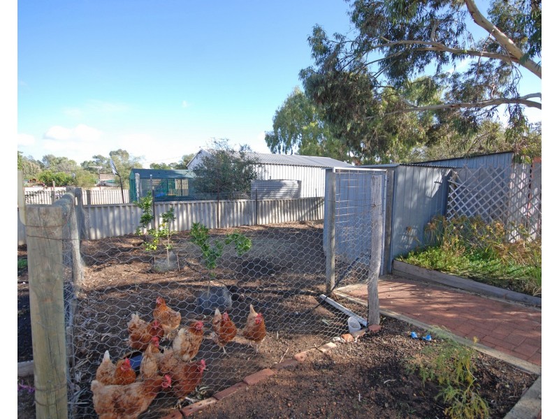 37 Doney Street, Narrogin WA 6312