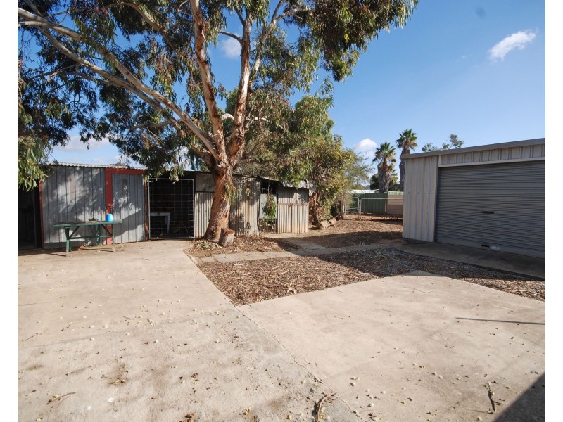 37 Doney Street, Narrogin WA 6312