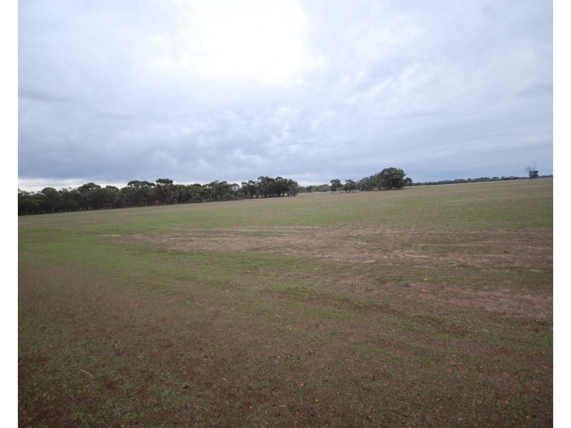 Lot 5019 York-Williams Road, Pumphreys Bridge WA 6308