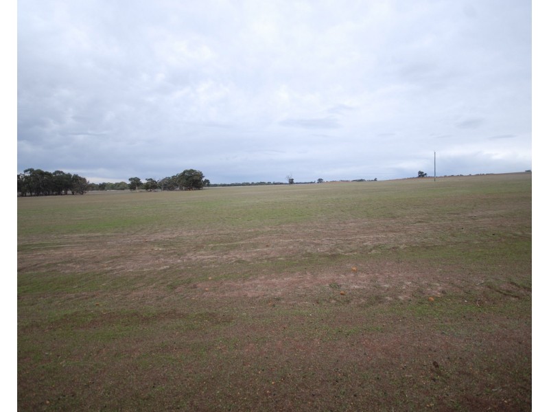 Lot 5019 York-Williams Road, Pumphreys Bridge WA 6308