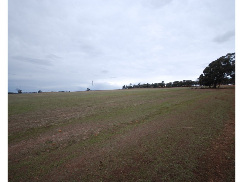 Lot 5019 York-Williams Road, Pumphreys Bridge WA 6308