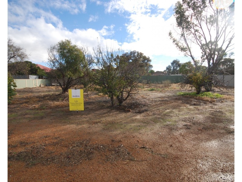 148 Federal Street, Narrogin WA 6312