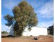 276 Lydeker Way, Narrogin WA 6312