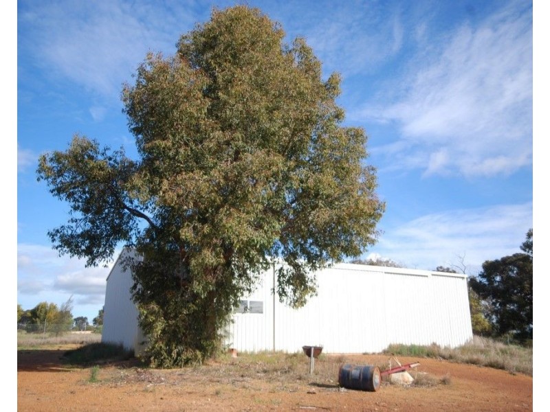 276 Lydeker Way, Narrogin WA 6312