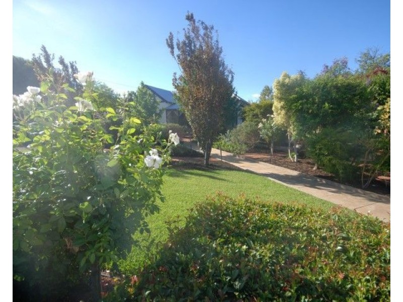 6 Lock Street, Narrogin WA 6312