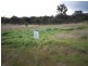 55 Lavender Street, Williams WA 6391