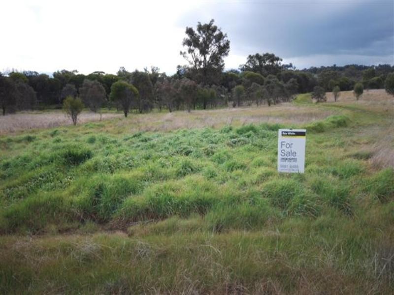 55 Lavender Street, Williams WA 6391