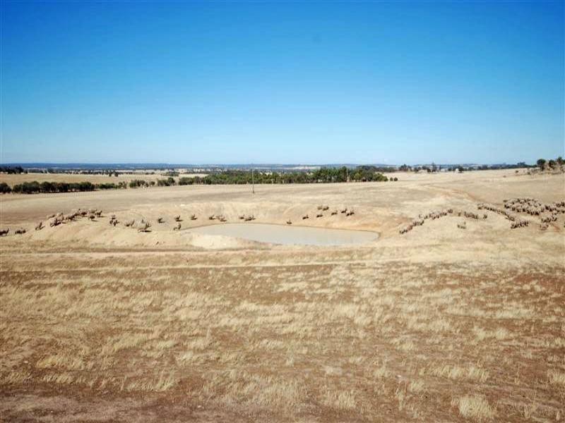 2274 Bunmulling Road, Popanyinning WA 6309