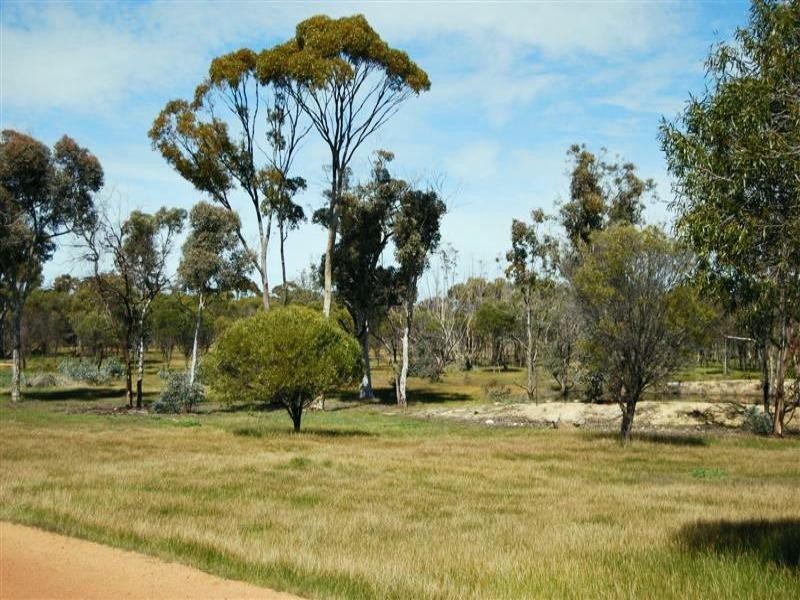 Lot 131 Bunmulling Road, Popanyinning WA 6309