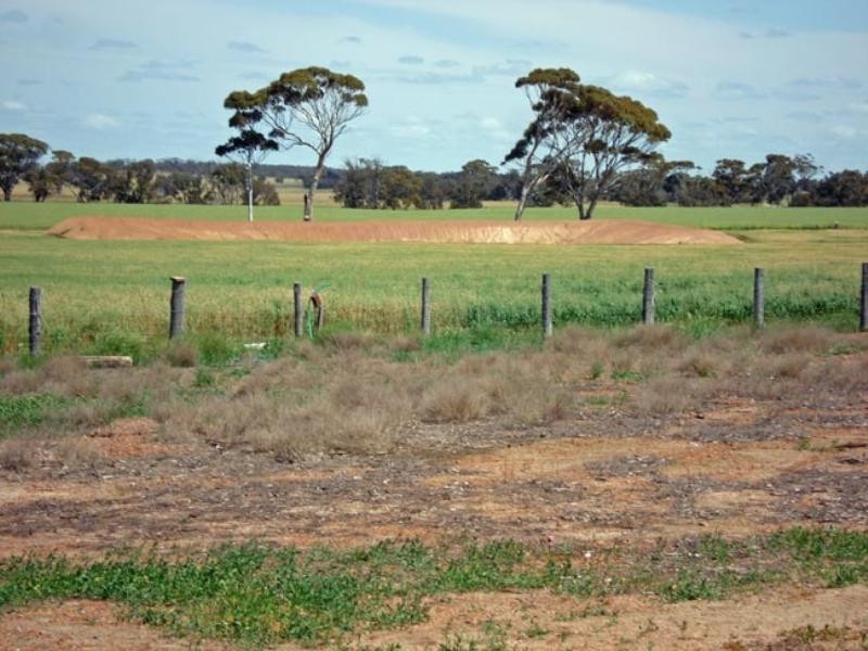 874 Yilliminning Road, Narrogin WA 6312