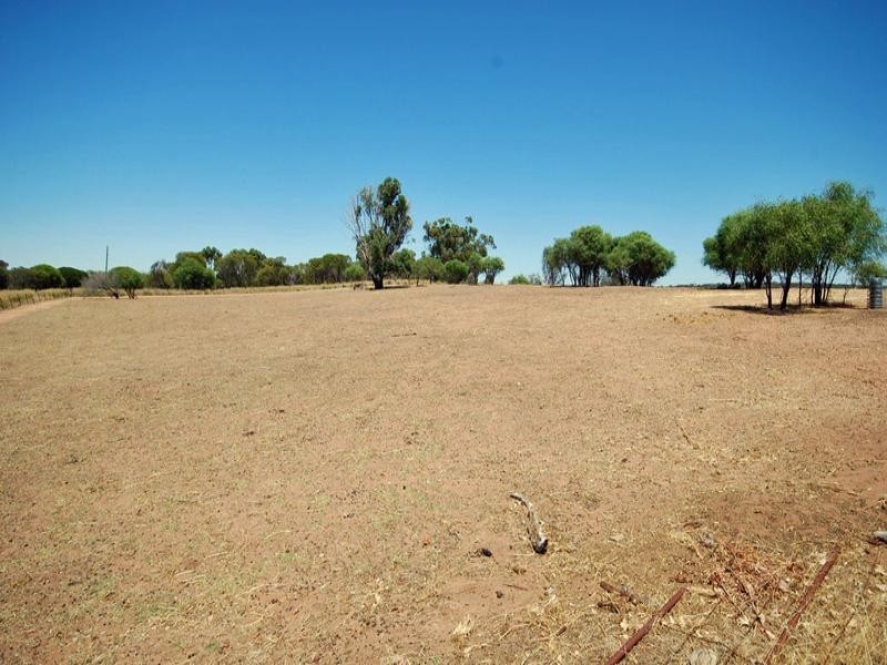 301 Tudor Street, Wagin WA 6315