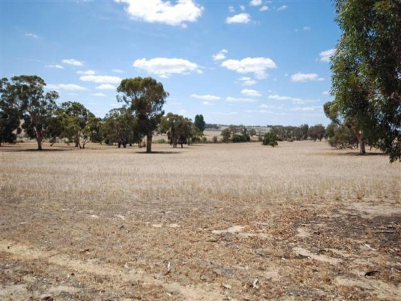 5 Maitland Street, Beverley WA 6304