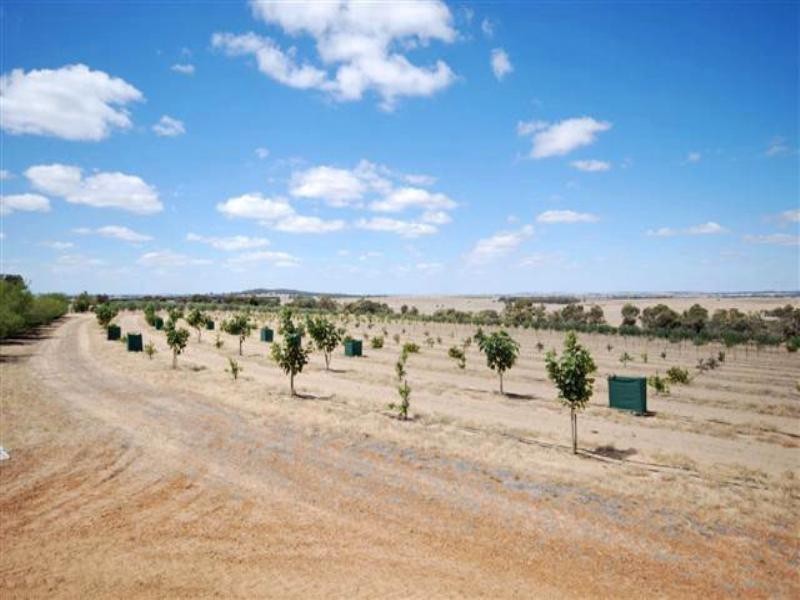 5 Maitland Street, Beverley WA 6304