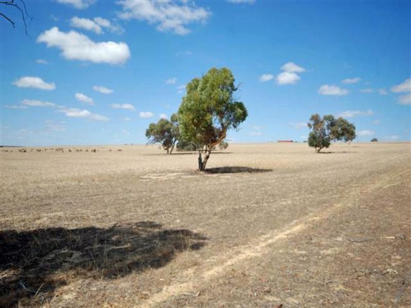 5 Maitland Street, Beverley WA 6304