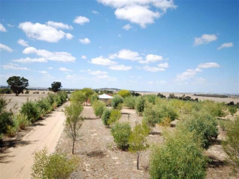 5 Maitland Street, Beverley WA 6304