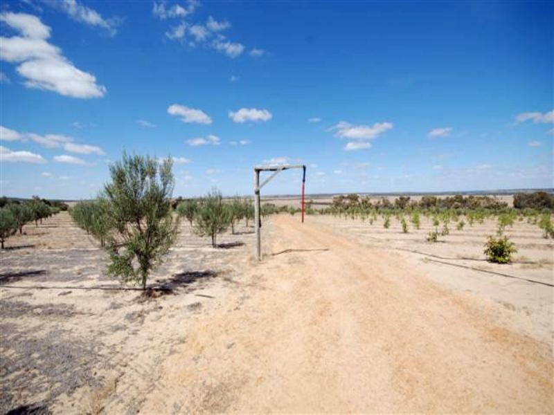 5 Maitland Street, Beverley WA 6304