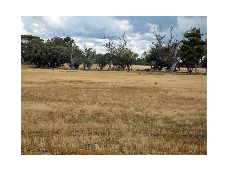 Lot 2269 Daylesford Road, Popanyinning WA 6309